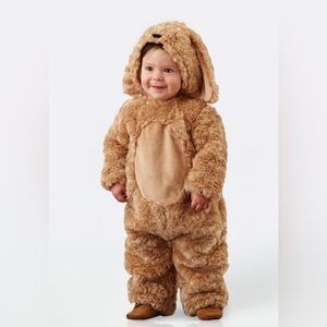 Pottery Barn Dog Costume, 0-6M, Used - Like New